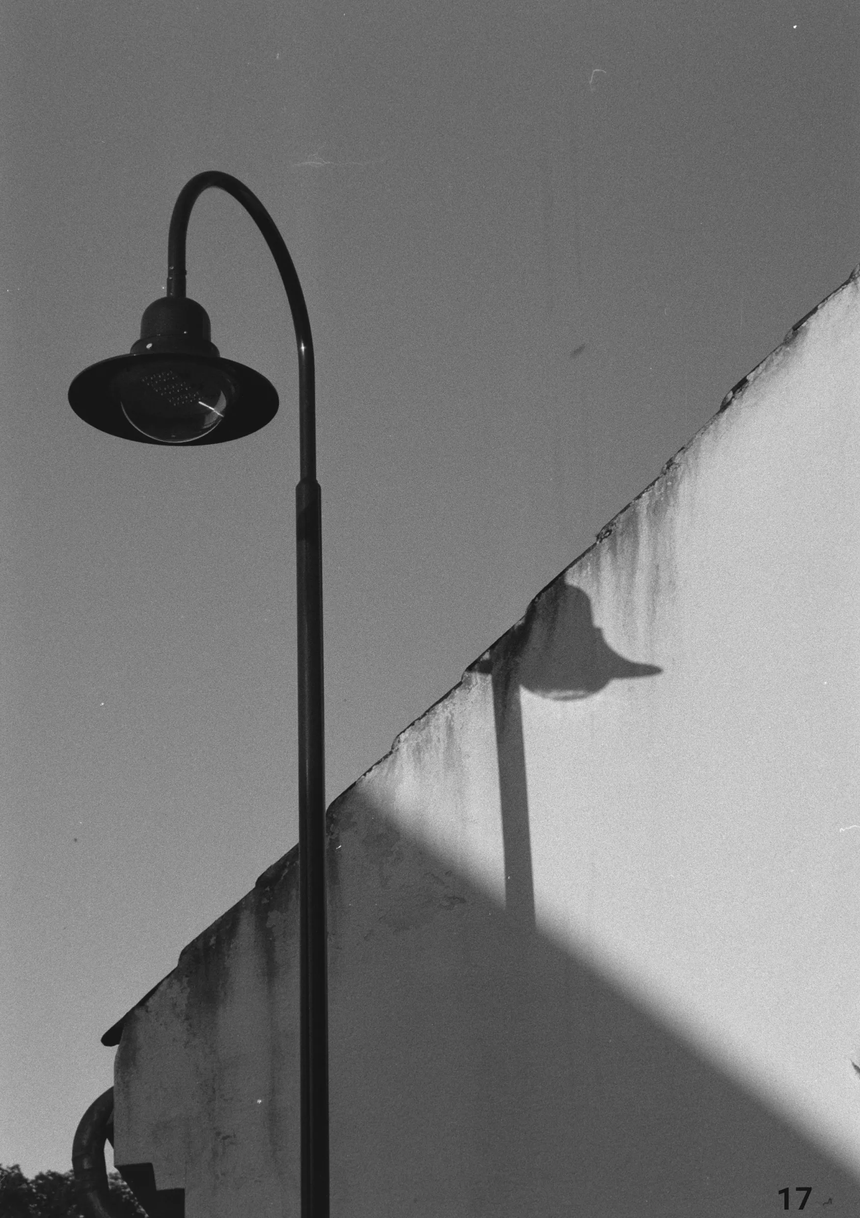 The idea of pupec, photograph 02