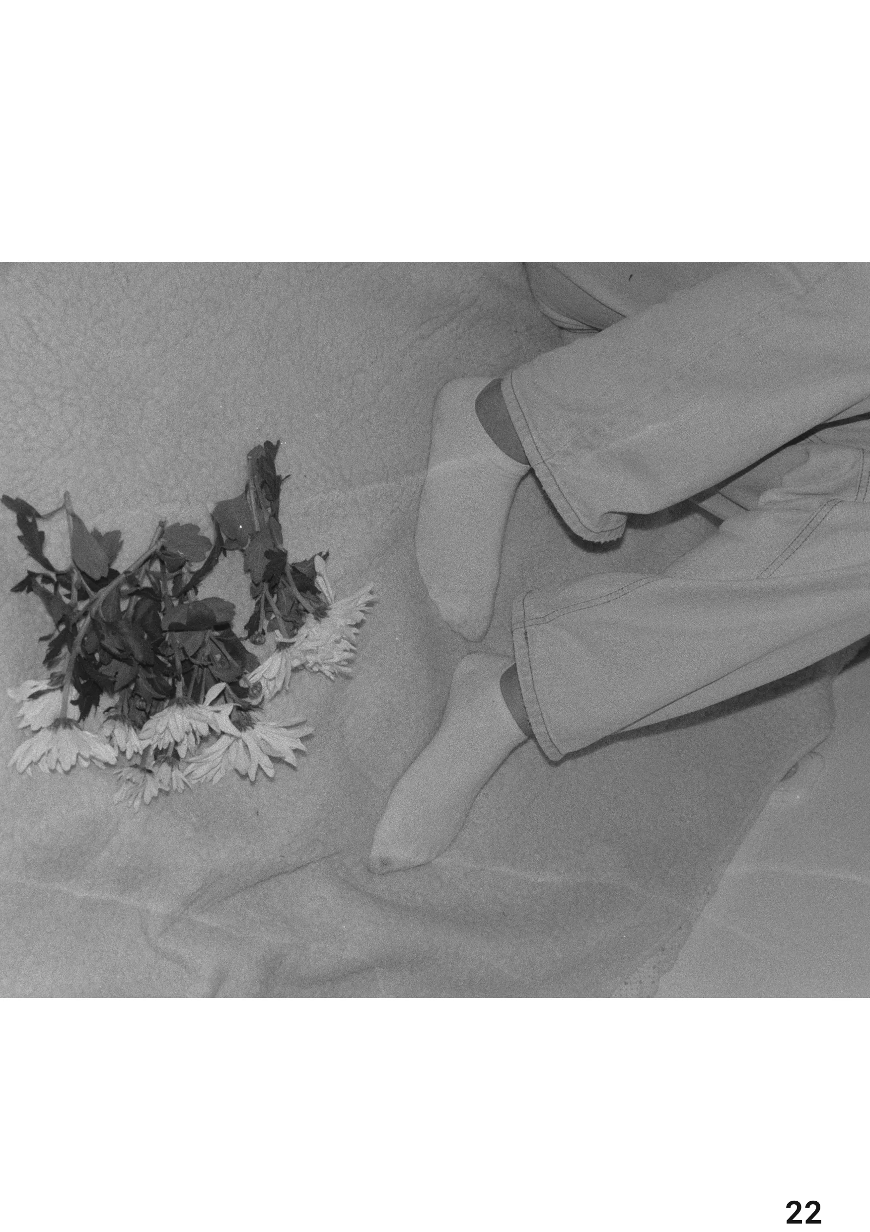 The idea of pupec, photograph 05